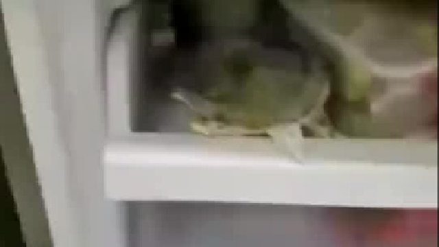 要吃我，何必拐弯抹角