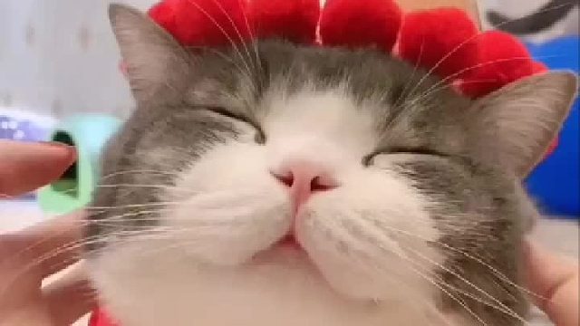 今天的不开心就止于此吧