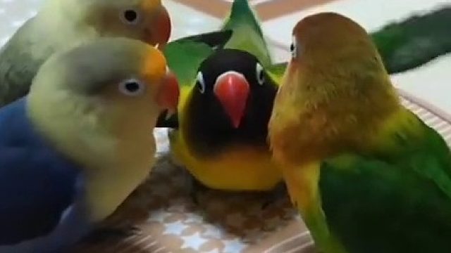 开会就开会，不要搞什么飞机