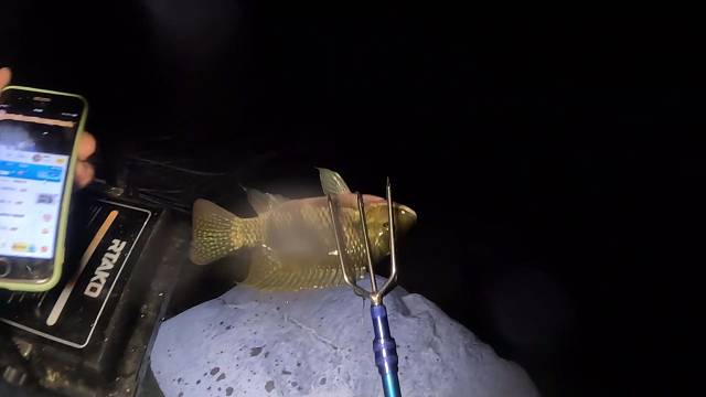 上古神器开光嘞