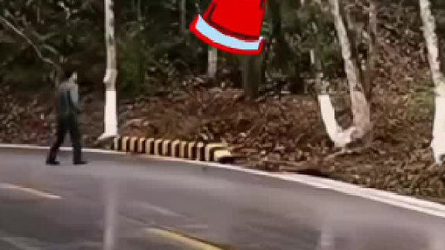 野象发怒突然冲向公路工作人员上演“生死逃离”