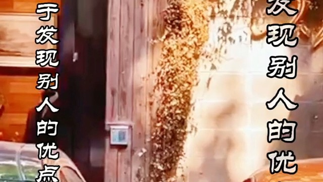 善于发现别人的优点