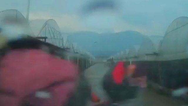 农村路口不减速，两车相撞酿事故！