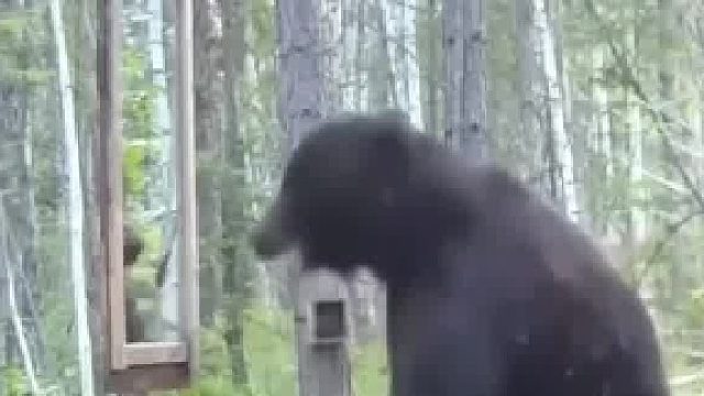 妈的，吓死老子了