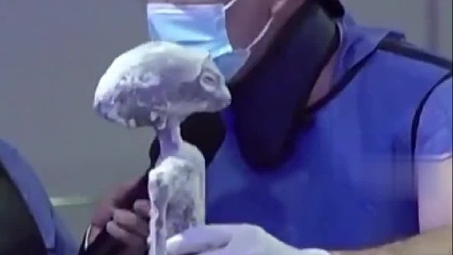 墨西哥对两具外星人干尸进行X光及CT扫描，确认遗骸为单一骨架，并非人为拼接或组装而成