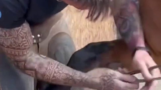 马长出意外的指甲