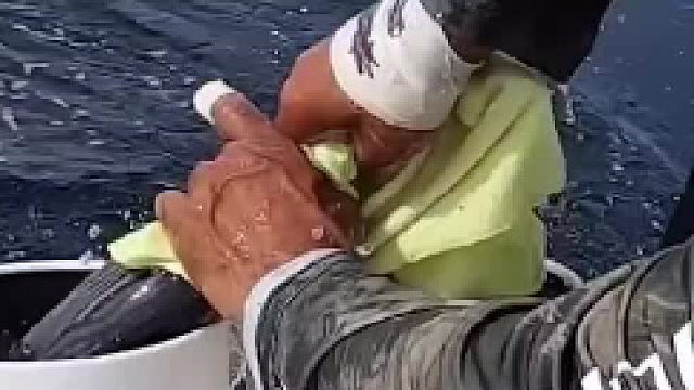 小鱼换大鱼，稳赚不赔