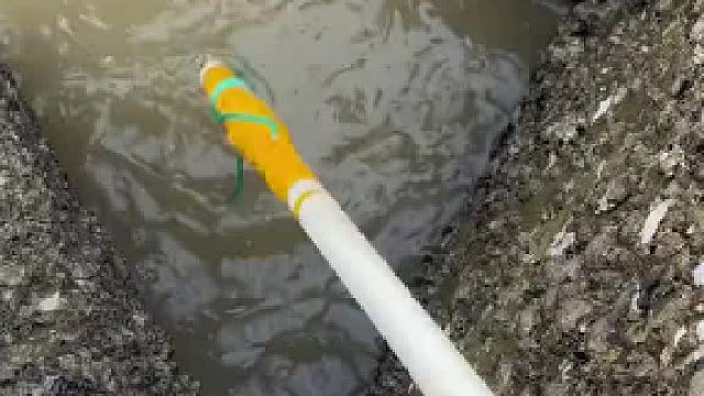 竟然可以一次性钓到这么多螃蟹