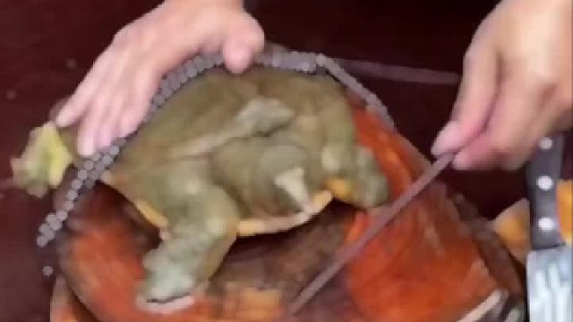 菜板：冲我来了？