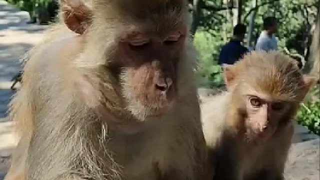 等会儿就要去大闹天宫了