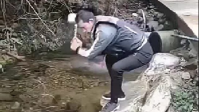 鱼：差点被陷害了