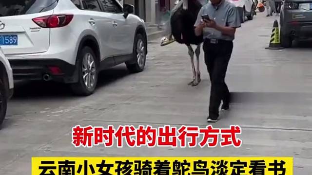 大城市，真会玩啊