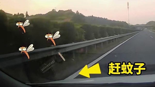 开车时赶蚊子车辆跑偏撞护栏！