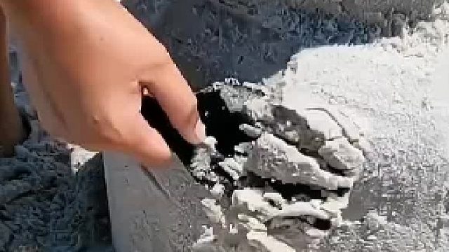 海绵宝宝，派大星，章鱼哥的小房子