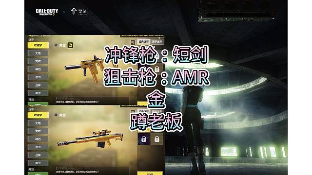 冲锋枪：短剑，狙击枪：AMR，金，真不错，真好看，蹲老板