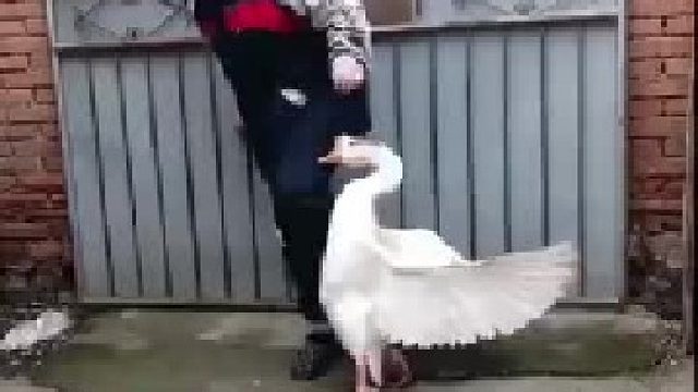 长大后依然体验童年的快乐