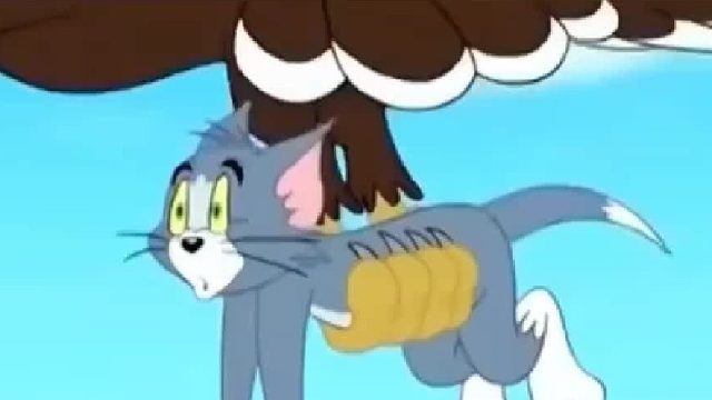 被我找到啦！ 众所周知，猫和老鼠是一部纪录片