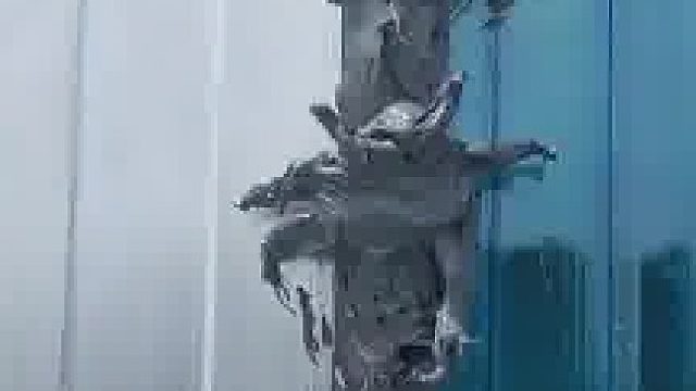 烈日之下变异了