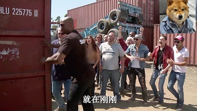 看到假鲨鱼，吓一跳