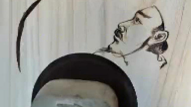 善书者不择笔，你的一句献丑了，整得我就是个废物！