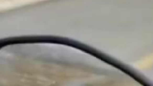 什么人这么狠心，把狗丢在了这里