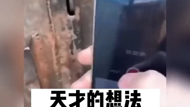 天才的想法，畜牲的行为