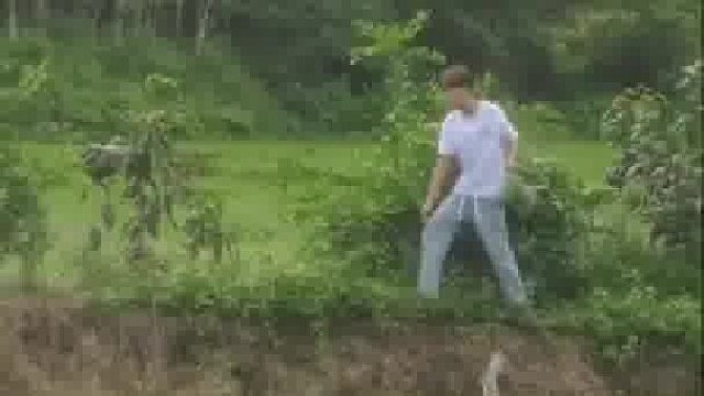 没想到是去摘芒果