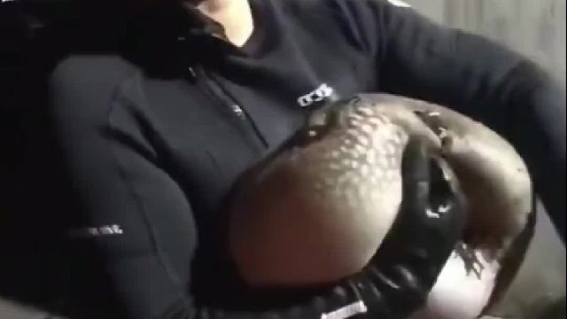 不能喝去小孩那桌啊