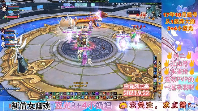 王者风云赛虽败犹荣