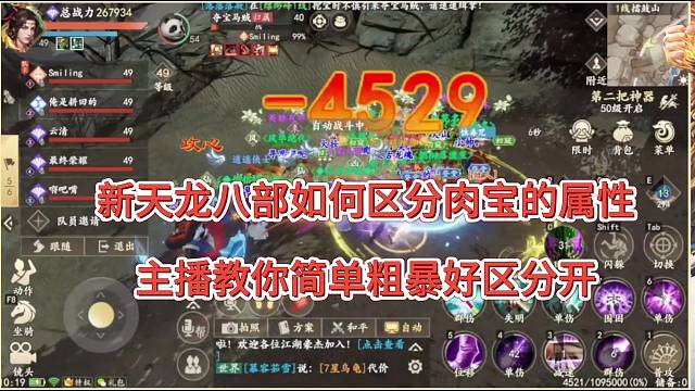 【新天龙八部】如何区分肉宝的属性，这一招简单粗暴