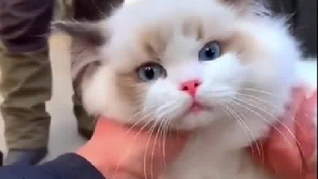 老板CPU差点干烧