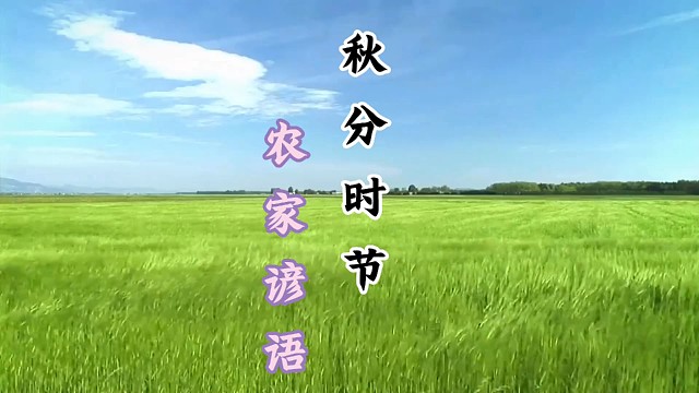 秋分时节
农家谚语