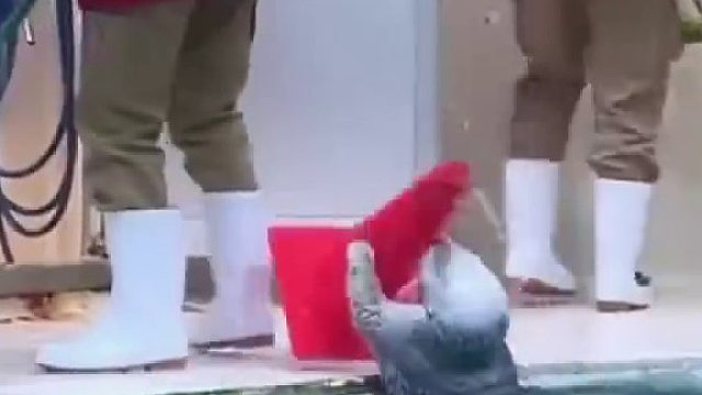 小海獭太懂事了，下班了还主动帮大家清场……