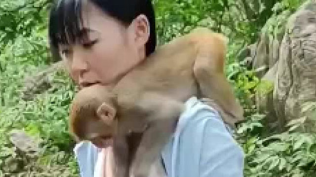 这些猴子坏的很啊