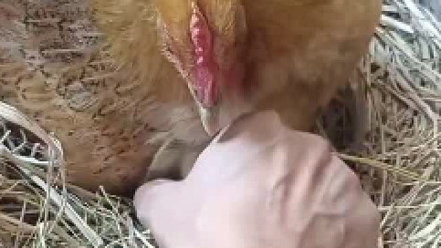 吃人的嘴短……