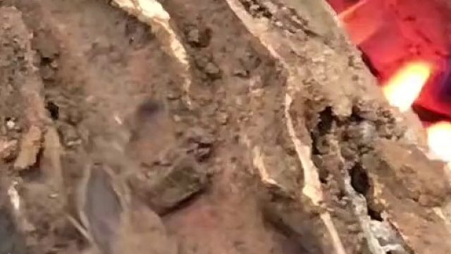 怪不得当年蝎子精要用倒马桩对付如佛