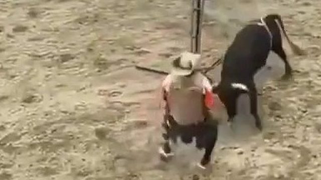 牛_有配合失误的时候吧