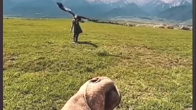 这飞行技术不错！