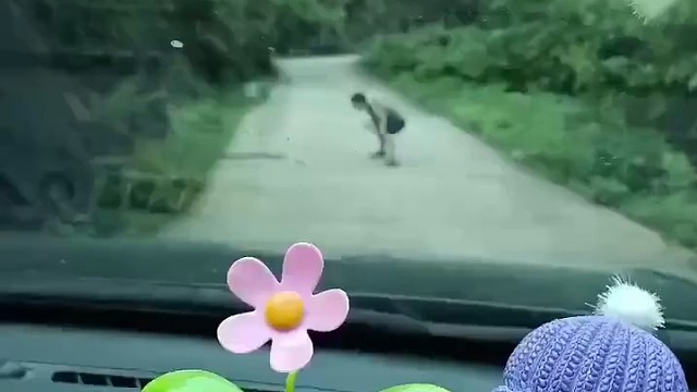 看的出来谁都不服谁[nianyu]