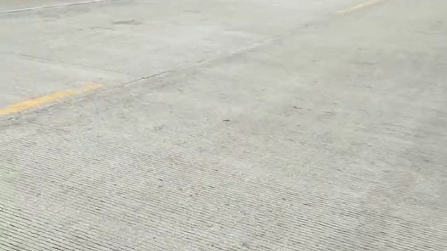 好大的蛇.吓死人啊