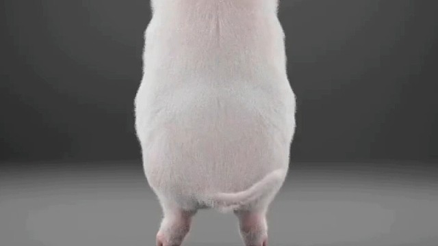 哥挎瓜筐过宽沟，过沟筐漏瓜滚沟。隔沟挎筐瓜筐扣，瓜滚筐空哥怪沟。