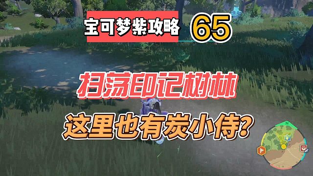 宝可梦紫攻略65：扫荡印记森林
