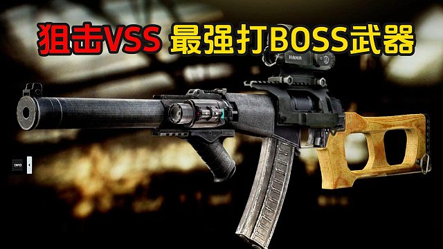 狙击VSS 最强打BOSS武器 逃离塔科夫