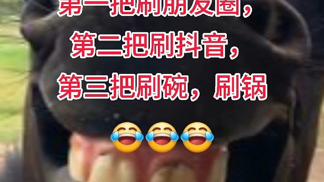 吃葡萄不吐葡萄皮儿，不吃葡萄倒吐葡萄皮儿（《葡萄皮儿》）
