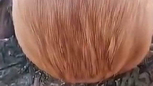 藏头漏尾，它是不是以为自己很聪明啊