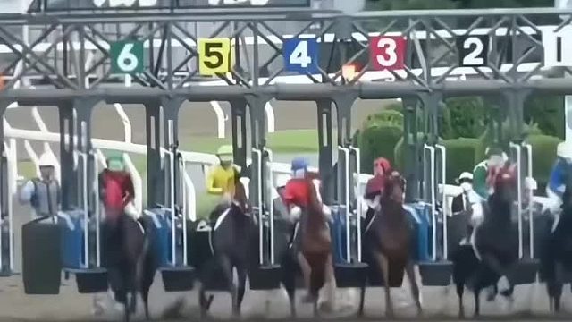 事实证明骑士限制了马的发挥