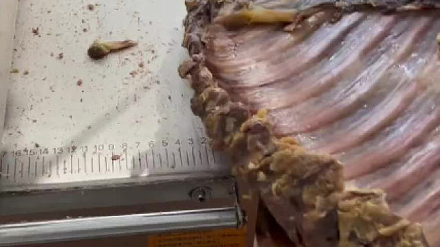 腊排骨火锅、清炖腊排骨是这个季节的最爱