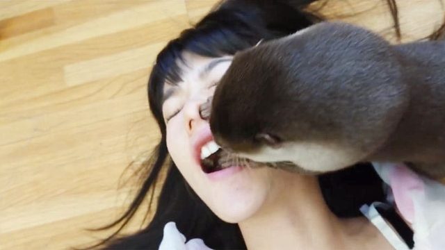 若不是有镜头拍下，谁成想水獭会这样做，实在是不忍直视