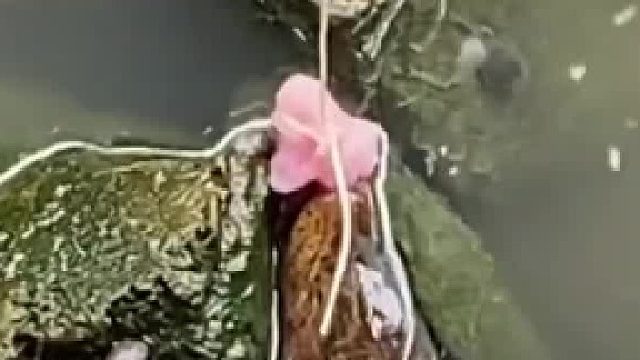 水里钓到活物，男女被吓得丢杆就跑