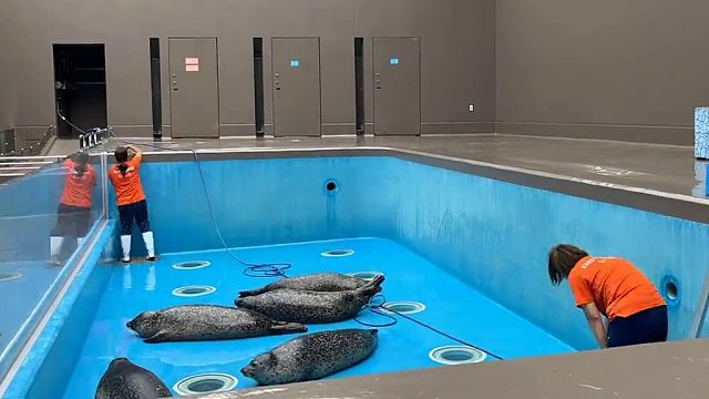 包租婆！怎么没水了